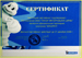 сертификат <br> Michelin 2008