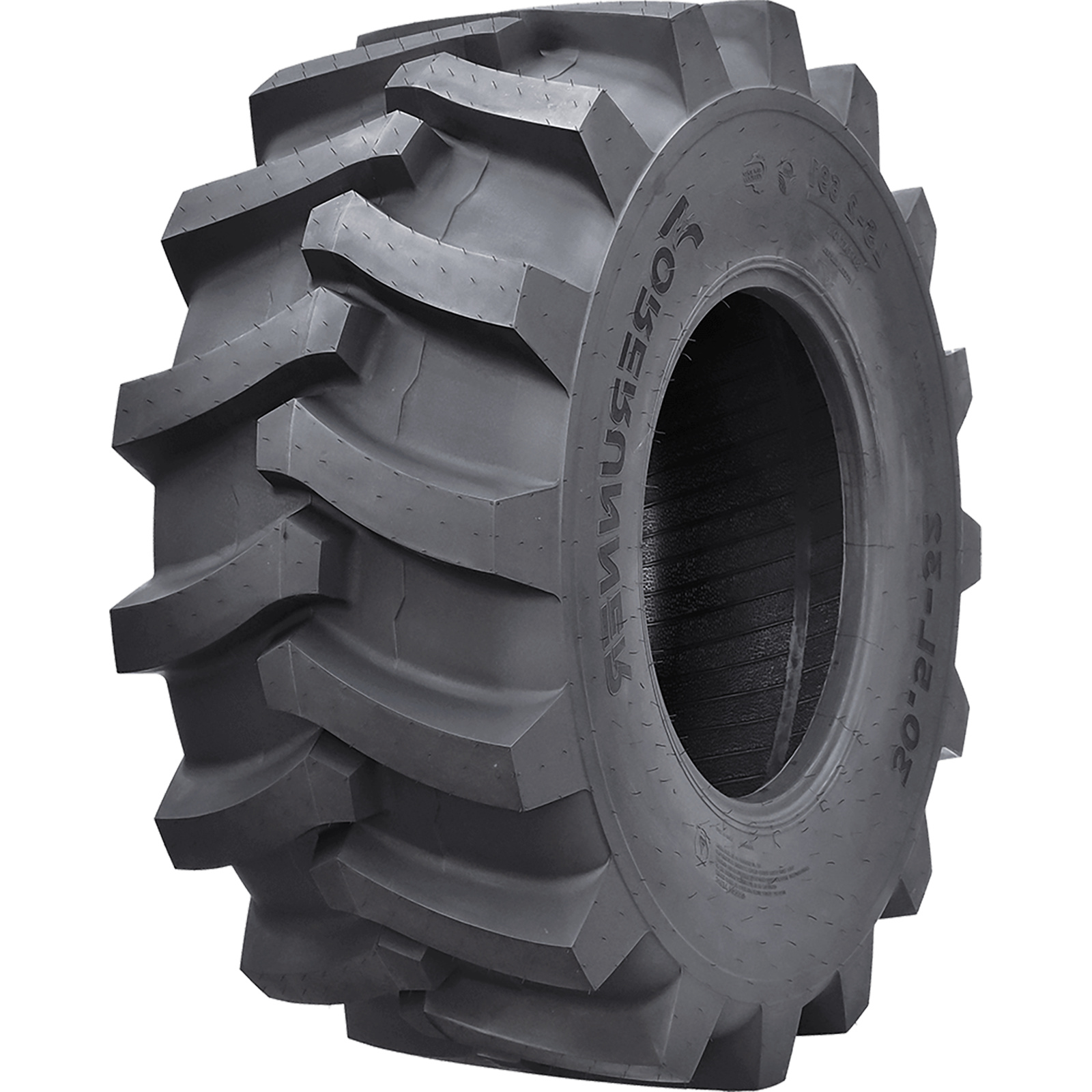 Forerunner 691