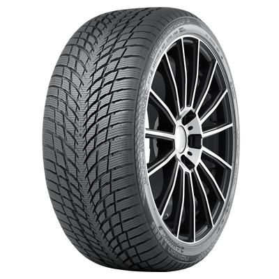 225/45R17 94V XL WR Snowproof P TL