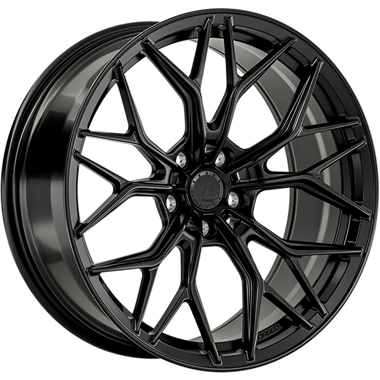 LS Forged LS FG65