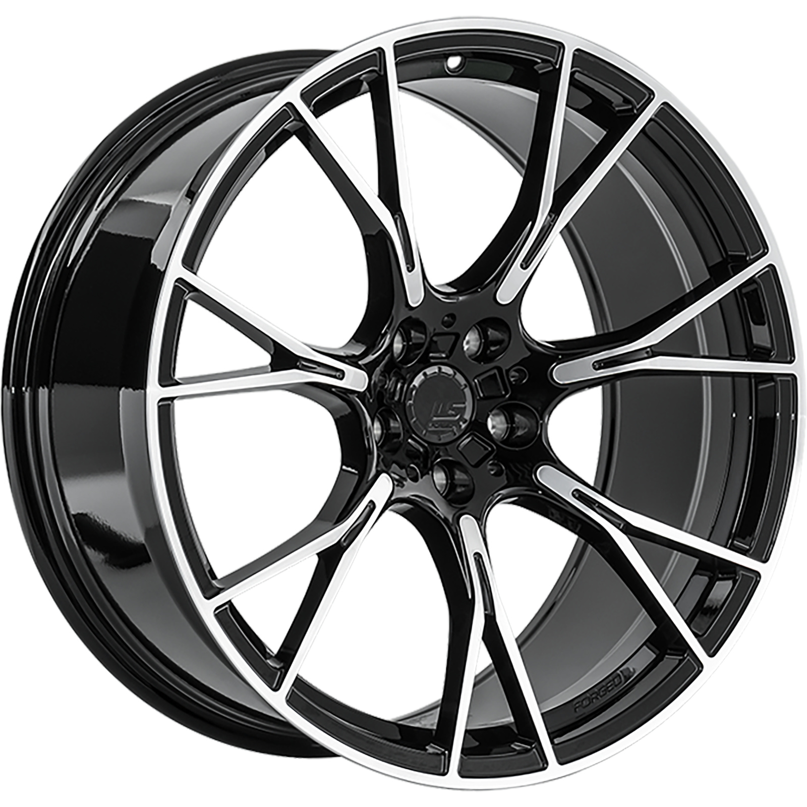 LS Forged LS FG66